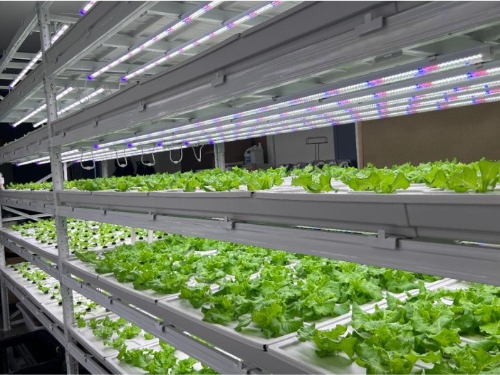 vertical grow racks vertical grow racks