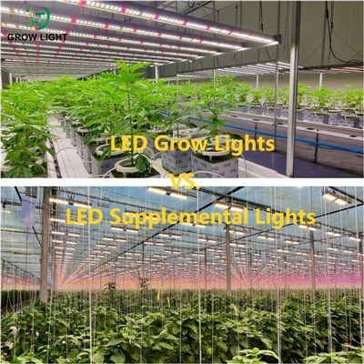 Lampu Tumbuh LED vs. Lampu Tambahan: Apa Hubungannya?