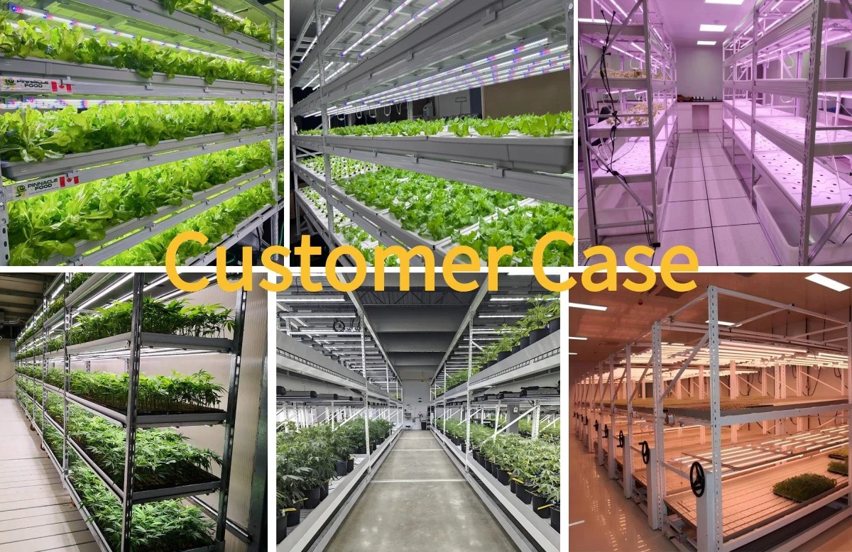 Customer Case.jpg