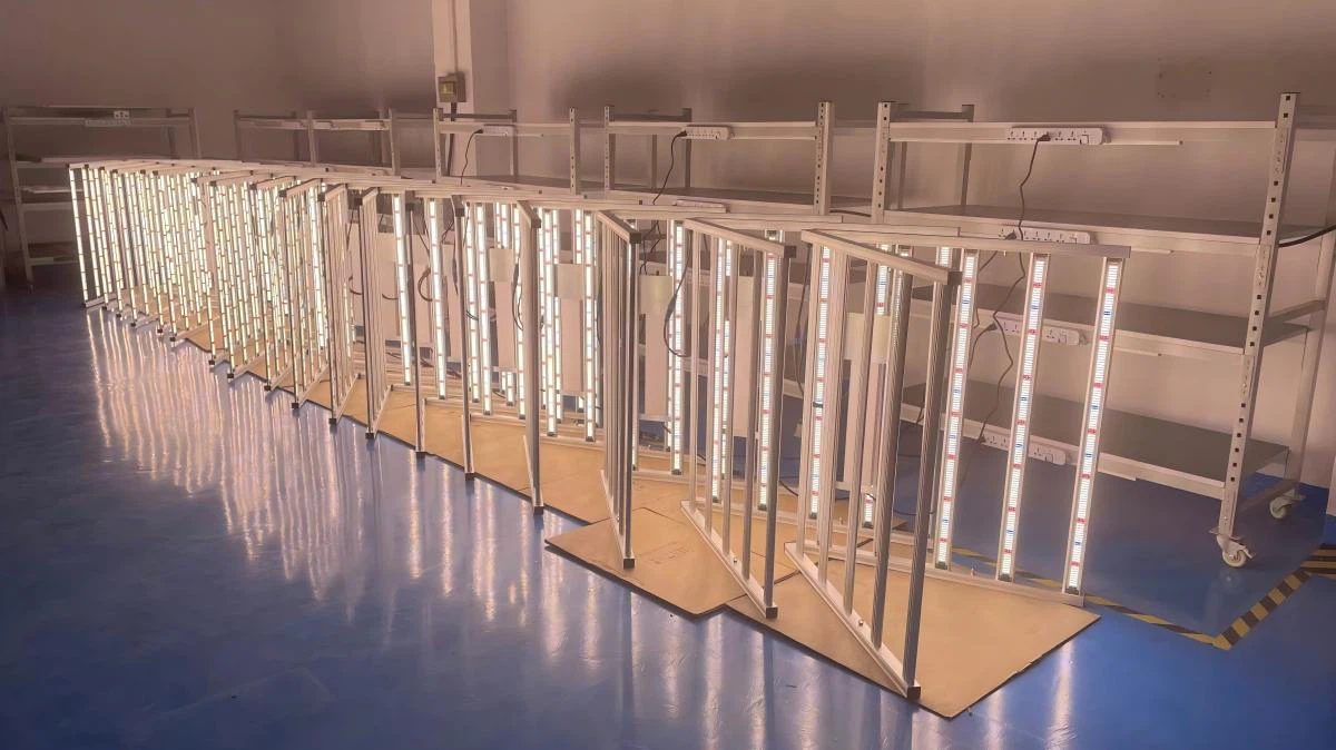 LED grow lights Testing LED grow lights Testing