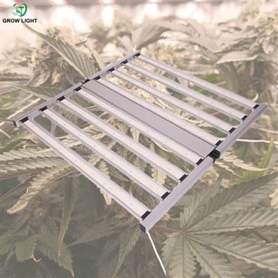 Tanaman Tanam yang Dimmable